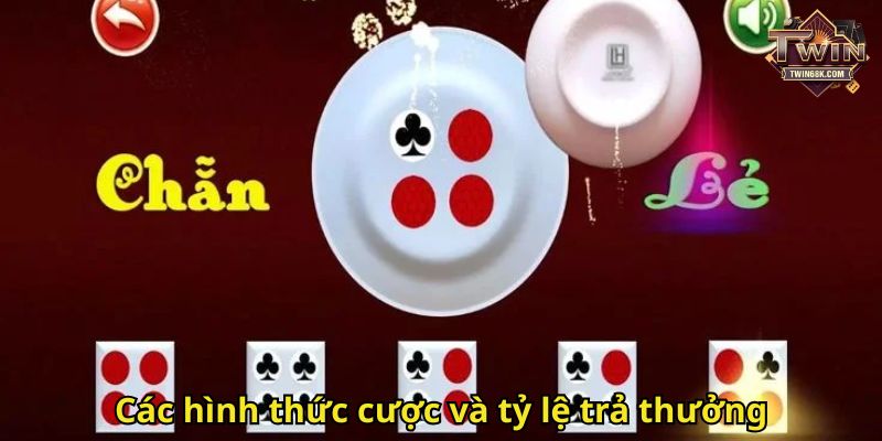 Các hình thức cược và tỷ lệ trả thưởng