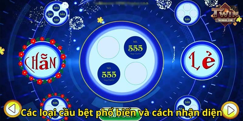 Các loại cầu bệt phổ biến và cách nhận diện