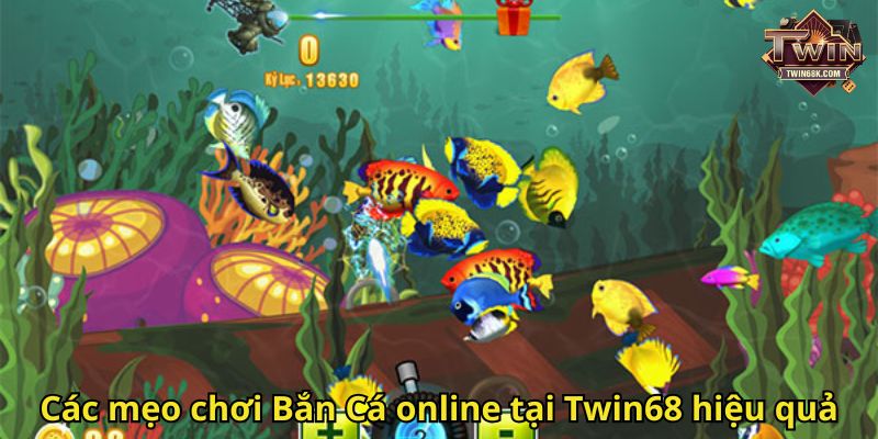 Các mẹo chơi Bắn Cá online tại Twin68 hiệu quả