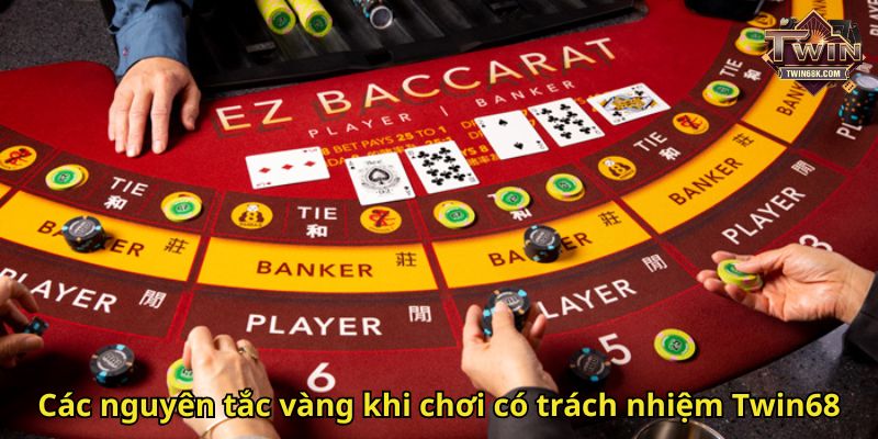 Các nguyên tắc vàng khi chơi có trách nhiệm Twin68
