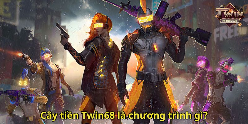 Cây tiền Twin68 là chương trình gì