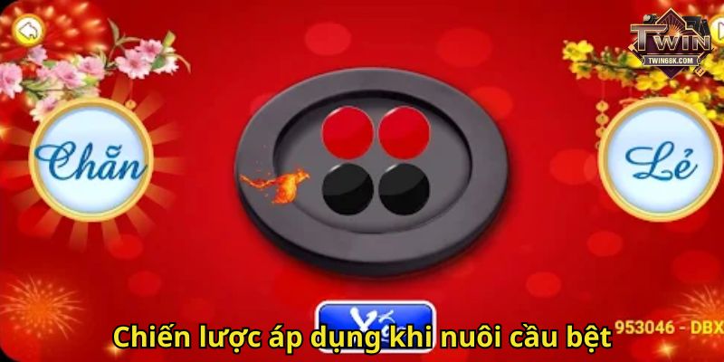 Chiến lược áp dụng khi nuôi cầu bệt