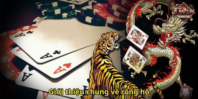 Giới thiệu chung về rồng hổ