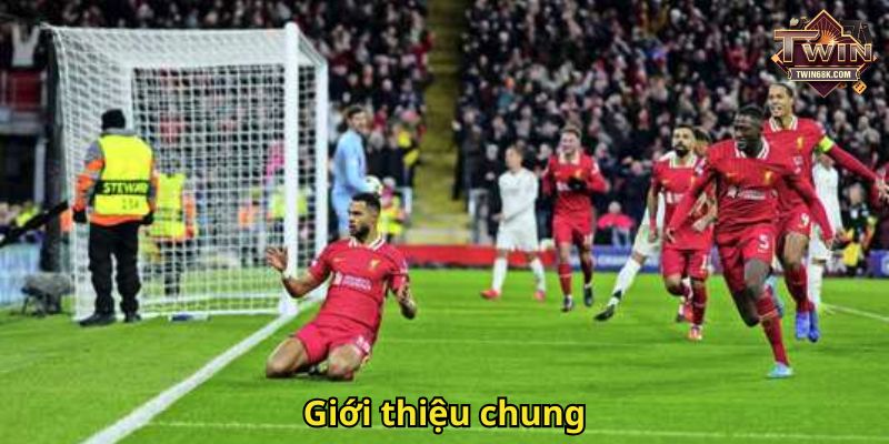 Giới thiệu chung