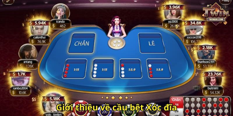 Giới thiệu về cầu bệt Xóc đĩa