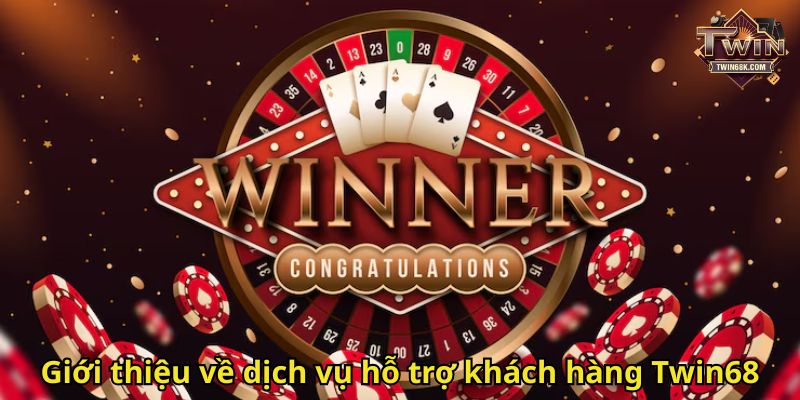 Giới thiệu về dịch vụ hỗ trợ khách hàng Twin68