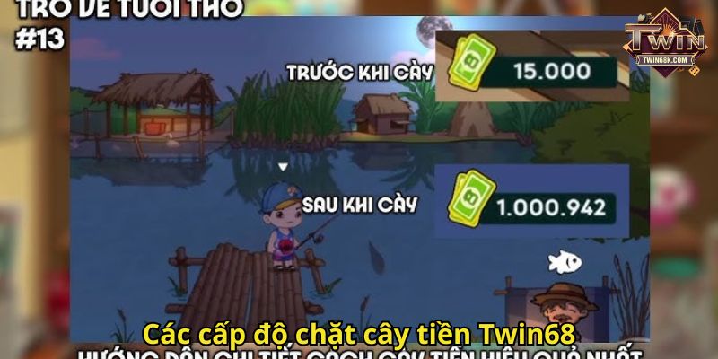 Hướng dẫn chặt cây và nhận thưởng