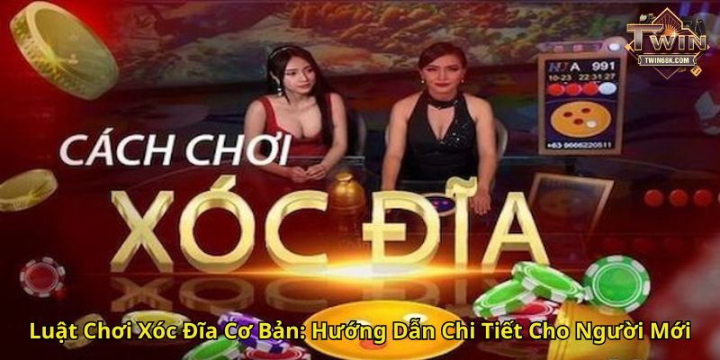 Luật Chơi Xóc Đĩa Cơ Bản Hướng Dẫn Chi Tiết Cho Người Mới