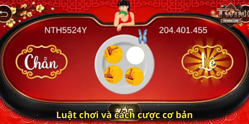 Luật chơi và cách cược cơ bản
