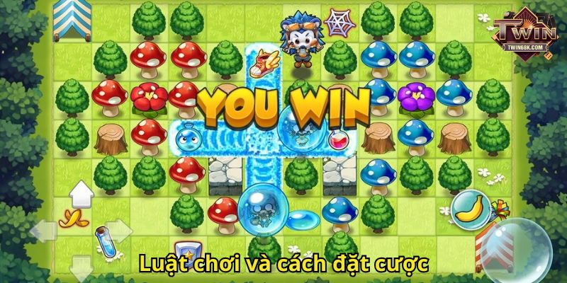 Luật chơi và cách đặt cược