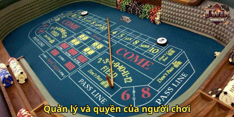 Quản lý và quyền của người chơi